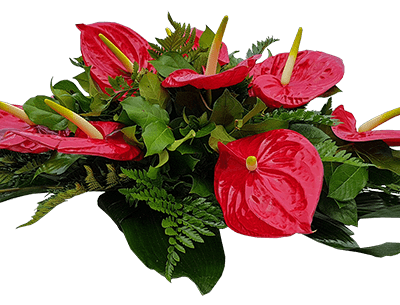 Buchet funerar - Anthurium