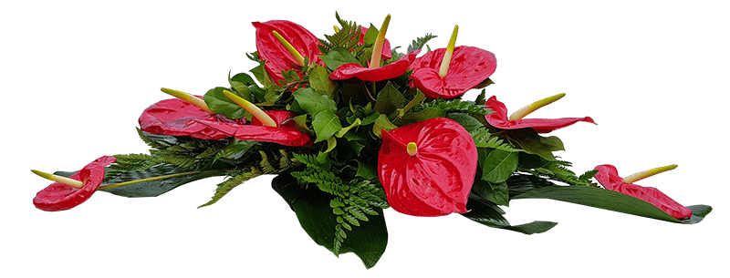 Buchet funerar Memoris - Anthurium